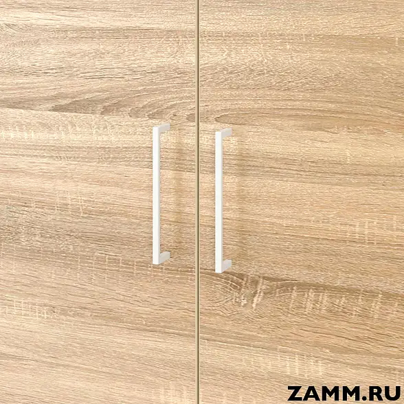 Шкаф ZAMM распашной 2 полки, 2 двери. На металлокаркасе 900 В=600 (Ш:900, Г:600, В:837) 